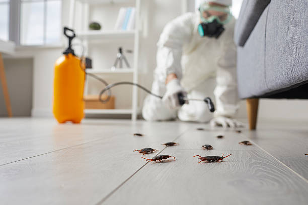 Commercial Kitchen Cockroach Control in Robbins